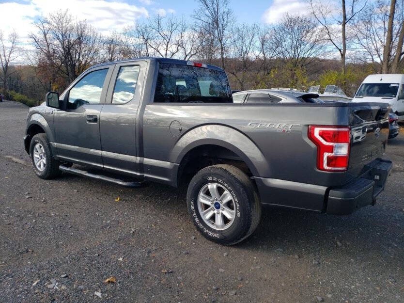 2019 Ford F-150 Image 4