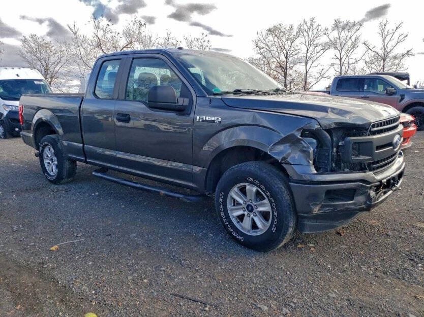 2019 Ford F-150 Image 1