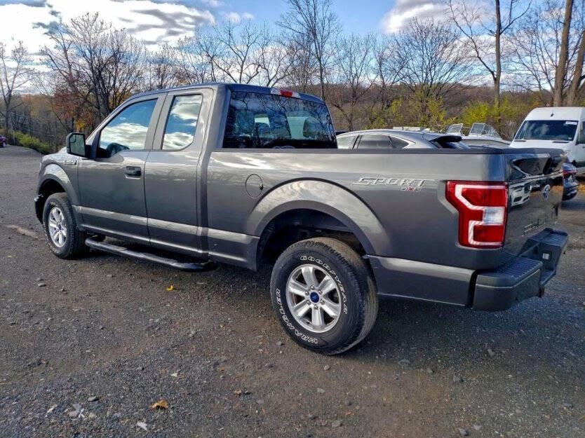 2019 Ford F-150 Image 4