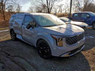 Image for 2025 Kia Carnival Hybrid SX ID: 7063152