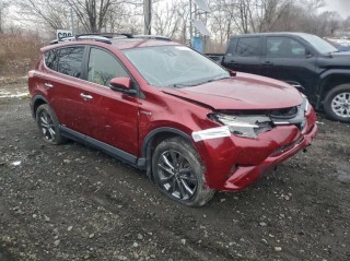 Image for 2018 Toyota Rav4 Limited ID: 7081812