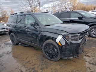 Image for 2025 Hyundai Santa Fe Calligraphy ID: 7105348