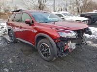 Image for 2024 Nissan Pathfinder Rock Creek ID: 7105349