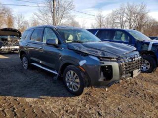Image for 2025 Hyundai Palisade SEL ID: 7168267