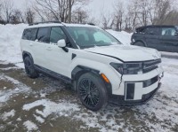 Image for 2025 Hyundai Santa Fe Calligraphy ID: 7295086