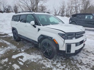 Image for 2025 Hyundai Santa Fe Calligraphy ID: 7295086