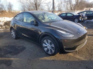 Image for 2024 Tesla Model Y Long Range ID: 7342603