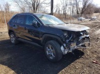 Image for 2024 Toyota Rav4 LE ID: 7345294