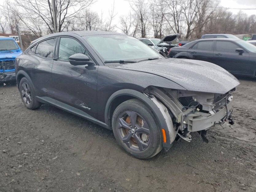 2022 Ford Mustang Image 1