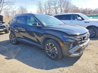 Image for 2025 Hyundai Tucson Limited ID: 7358652