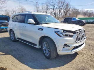 Image for 2024 INFINITI QX80  ID: 7358673