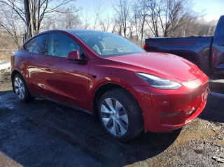 Image for 2024 Tesla Model Y  ID: 7358675