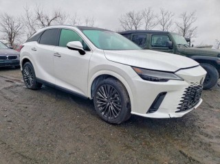 Image for 2024 Lexus RX 350 Luxury ID: 7361163