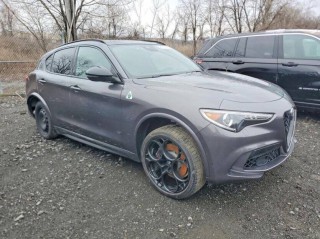 Image for 2023 Alfa Romeo Stelvio Quadrifoglio ID: 7364249