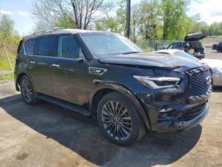 Image for 2024 INFINITI QX80  ID: 7406451