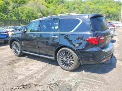 2024 INFINITI QX80 Image 3