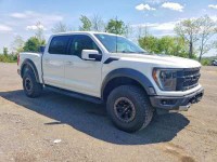Image for 2023 Ford F-150 Raptor SuperCrew 5.5 ft. SB ID: 7406452