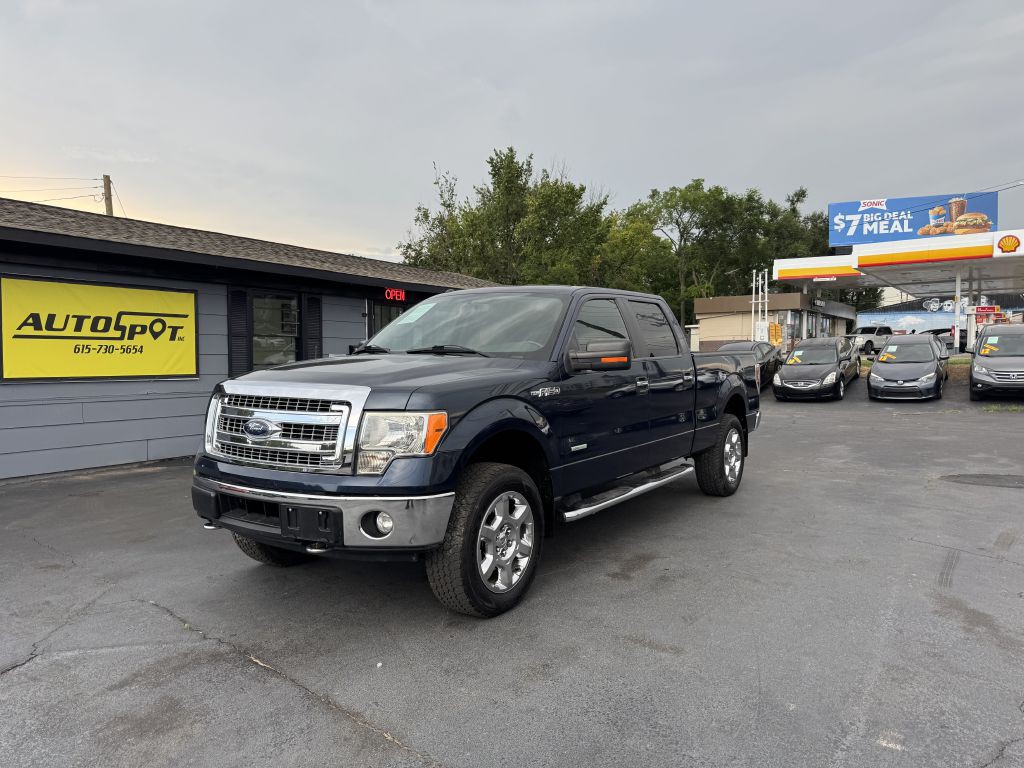 2014 Ford F-150 Image 3