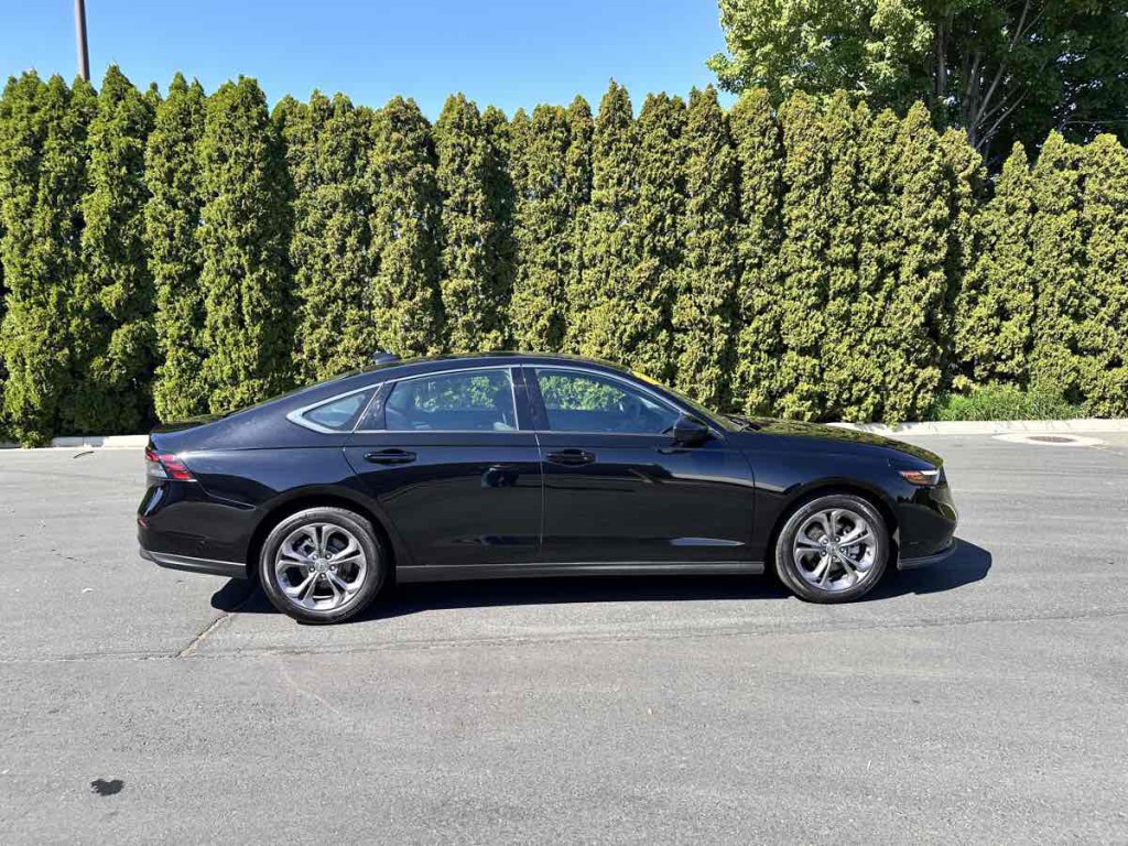 2024 Honda Accord Image 8