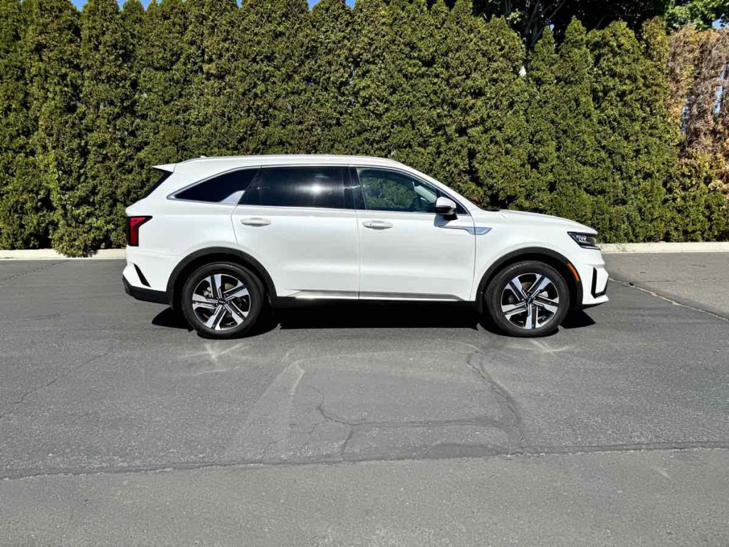 2023 Kia Sorento Image 7