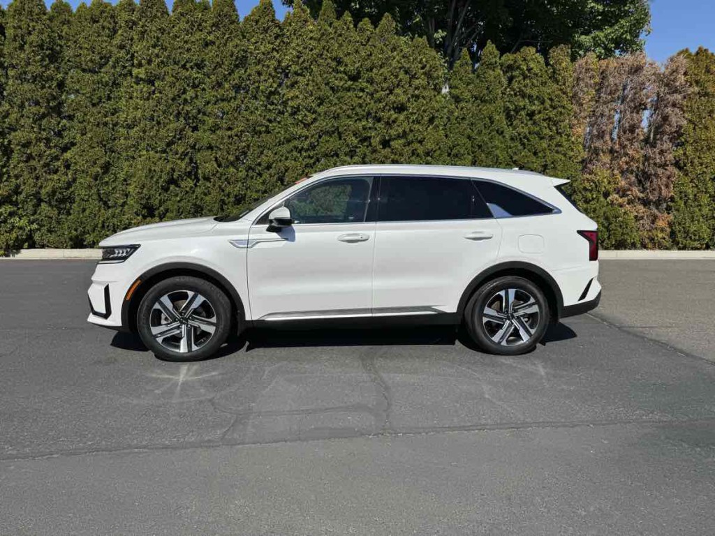 2023 Kia Sorento Image 8