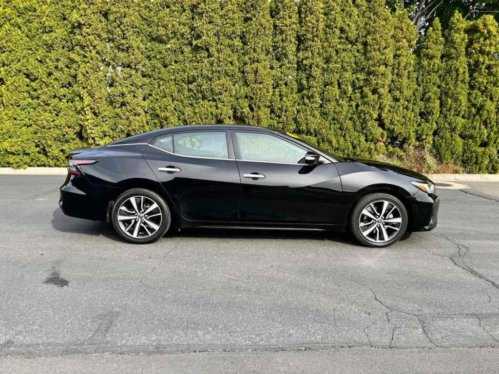 2020 Nissan Maxima Image 7