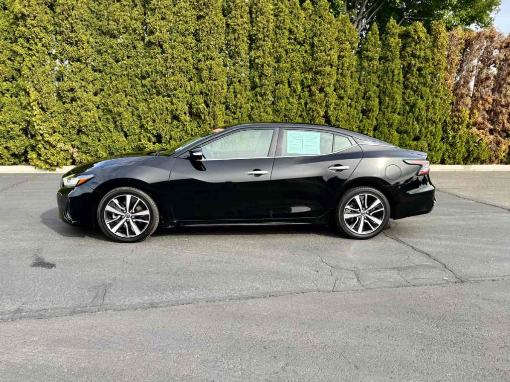 2020 Nissan Maxima Image 8