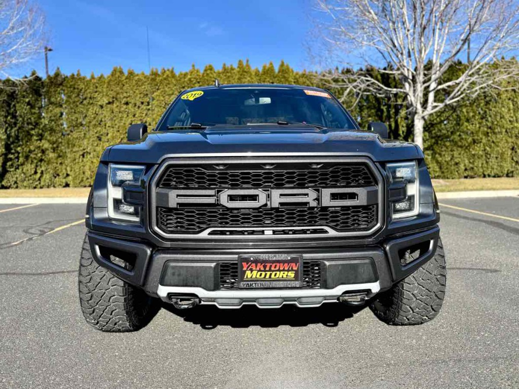 2019 Ford F-150 Image 3