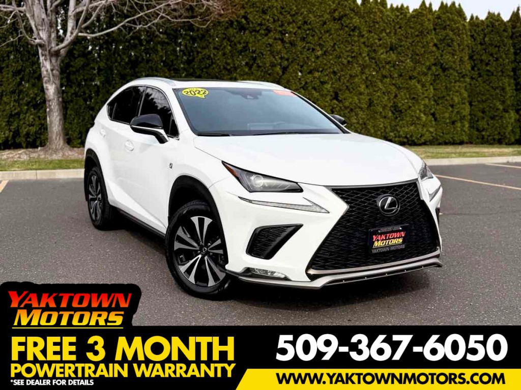2021 Lexus NX 300 Image 1