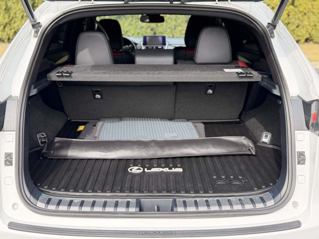 2021 Lexus NX 300 Image 11