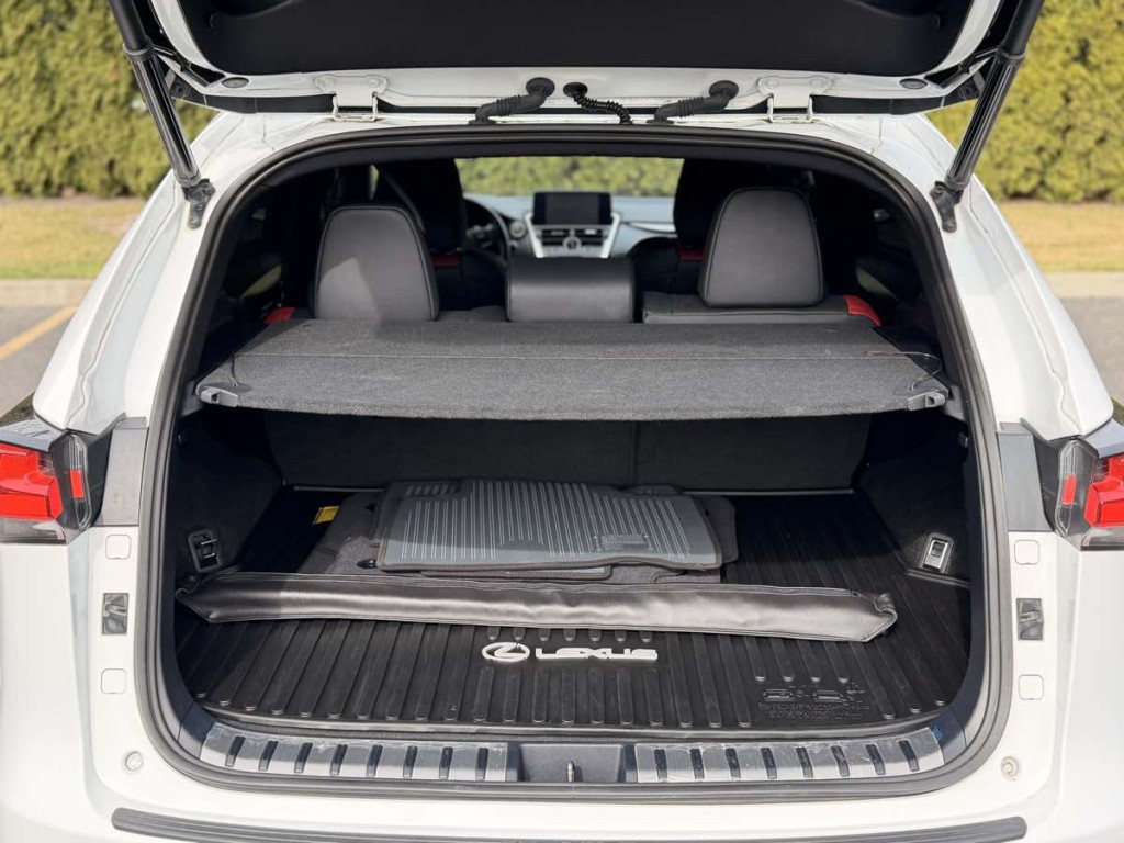 2021 Lexus NX 300 Image 12