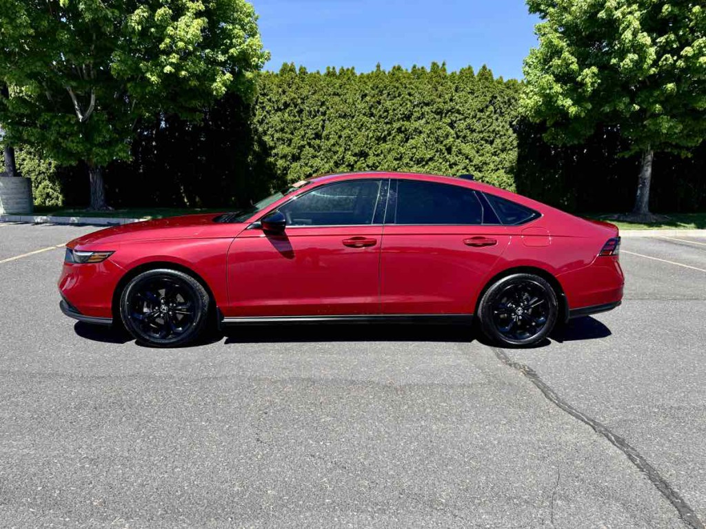 2025 Honda Accord Image 6