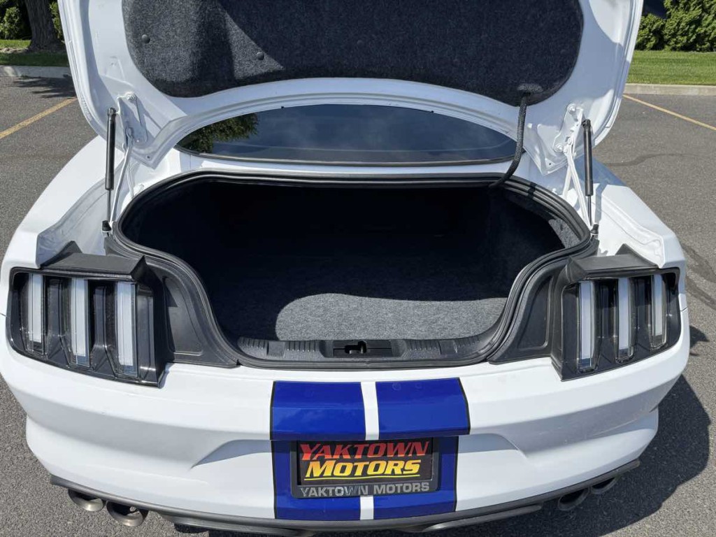 2018 Ford Mustang Image 14