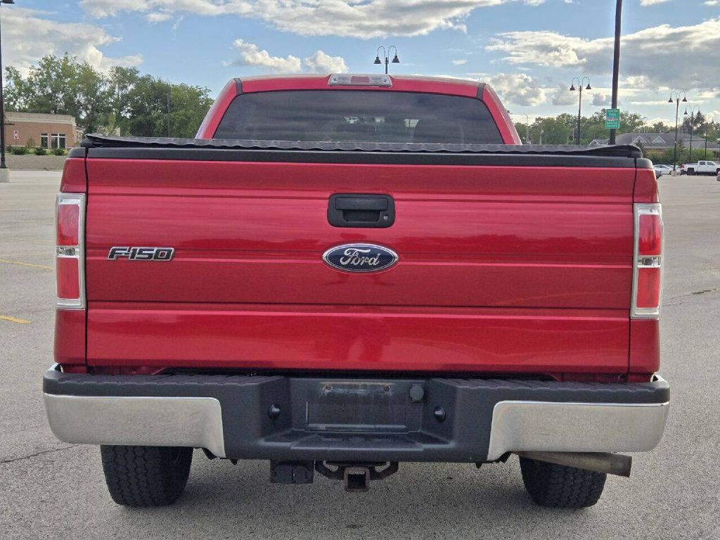 2010 Ford F-150 Image 4