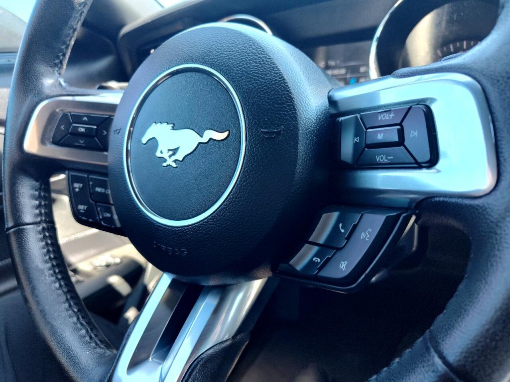 2017 Ford Mustang Image 18