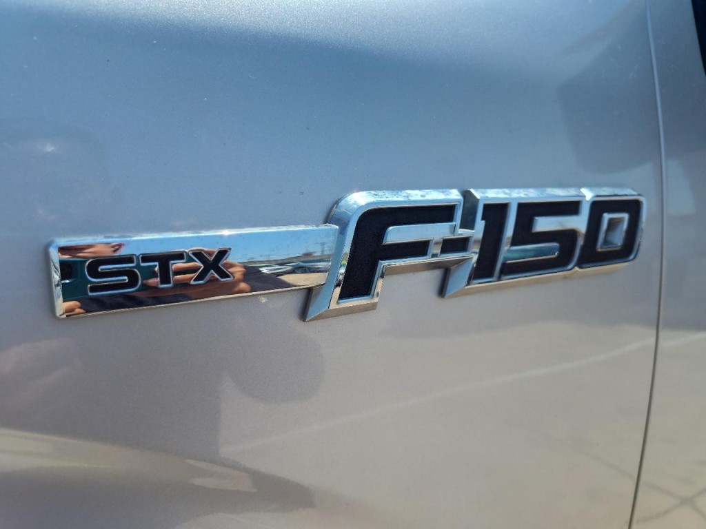 2013 Ford F-150 Image 10