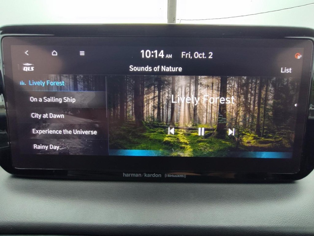 2022 Hyundai Santa Fe Image 30