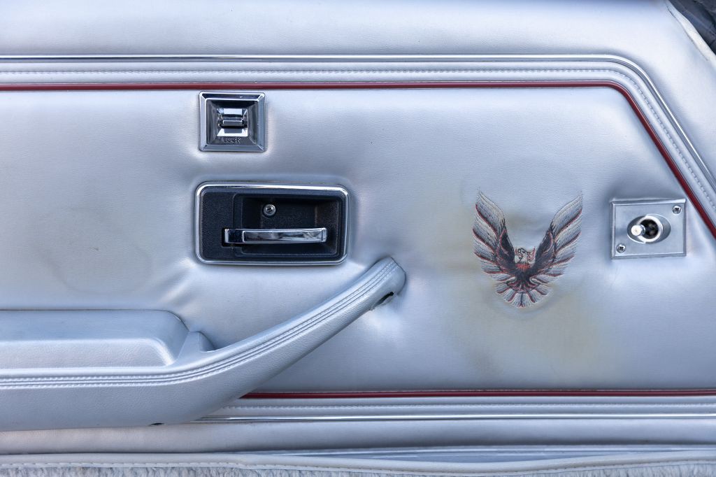 1979 Pontiac Firebird Image 69