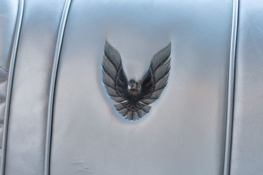 1979 Pontiac Firebird Image 75