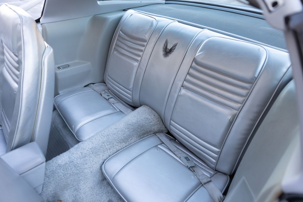 1979 Pontiac Firebird Image 76