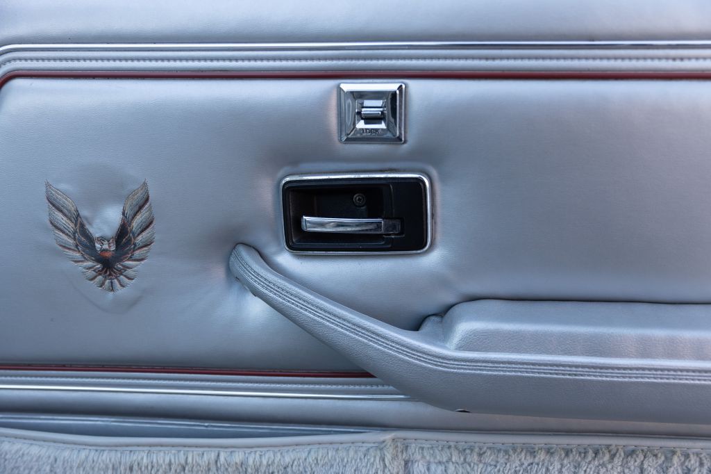 1979 Pontiac Firebird Image 78