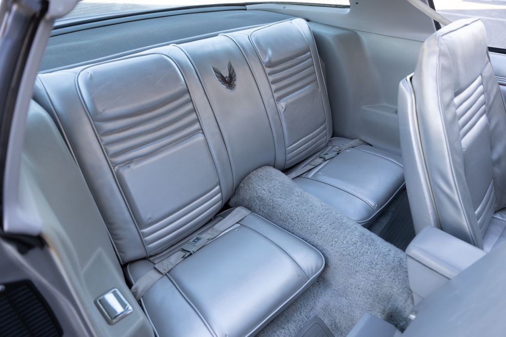 1979 Pontiac Firebird Image 84