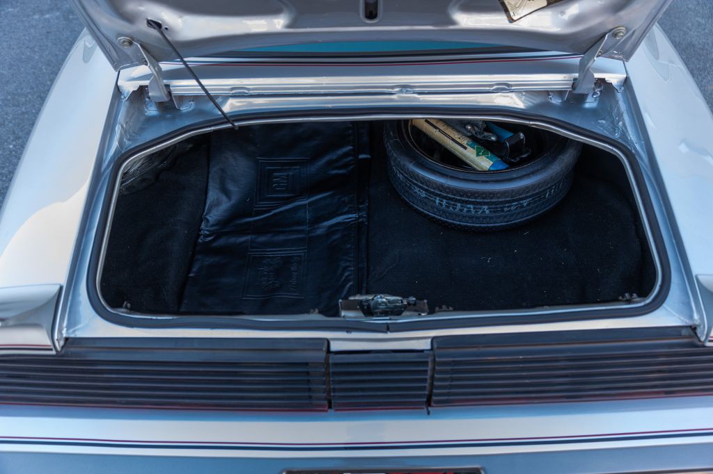 1979 Pontiac Firebird Image 114