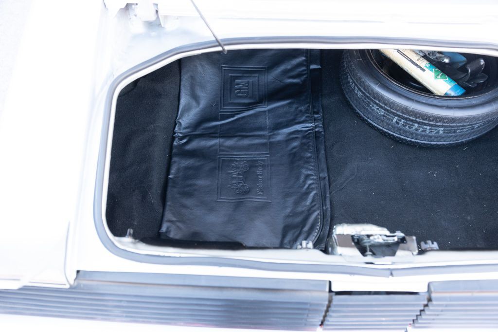 1979 Pontiac Firebird Image 115