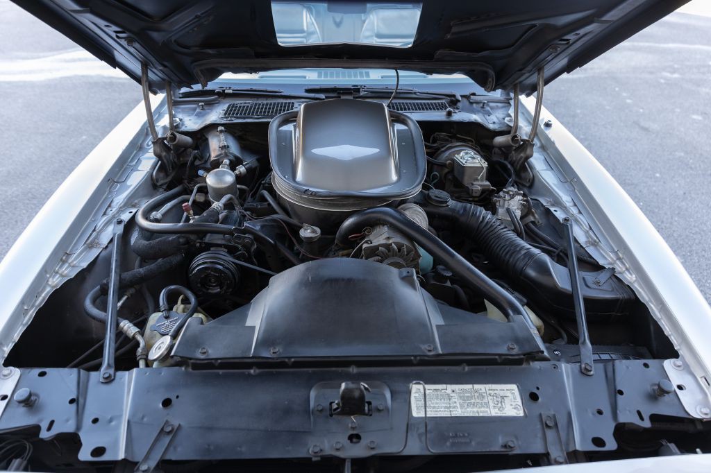 1979 Pontiac Firebird Image 122