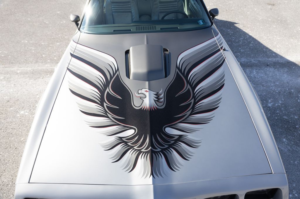 1979 Pontiac Firebird Image 135
