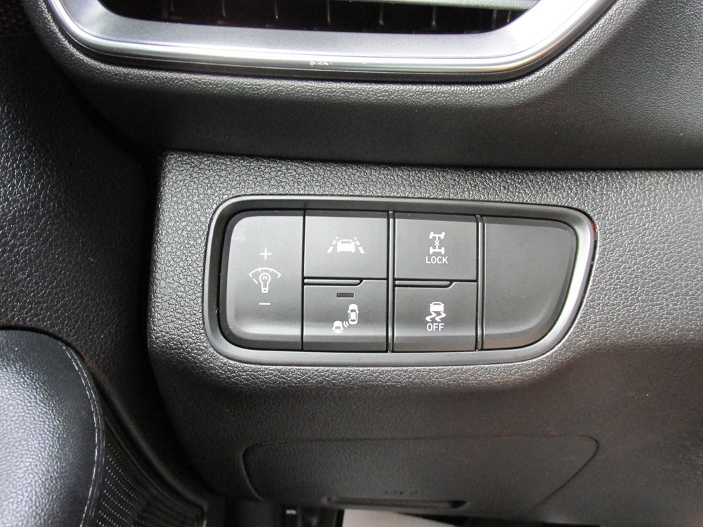 2019 Hyundai Santa Fe Image 16