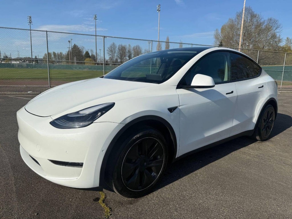 2021 Tesla Model Y Image 2