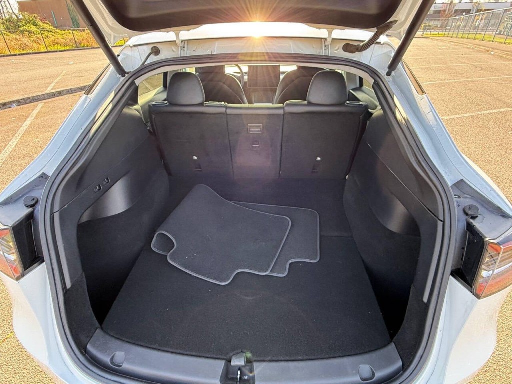 2021 Tesla Model Y Image 5