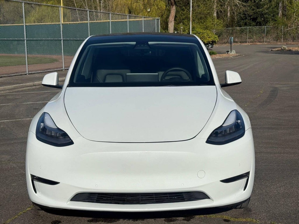 2021 Tesla Model Y Image 7